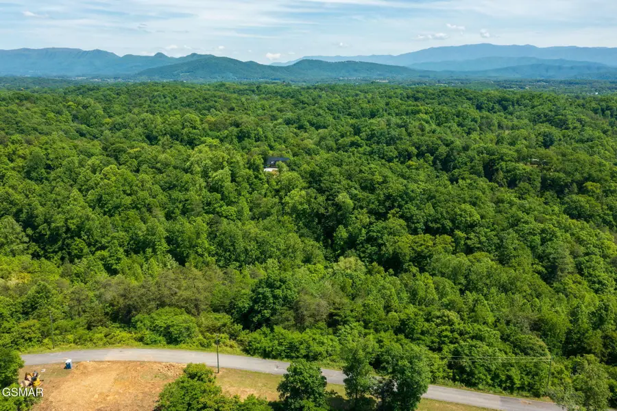 54 Mary Alice Way, Sevierville, TN 37876 - #2