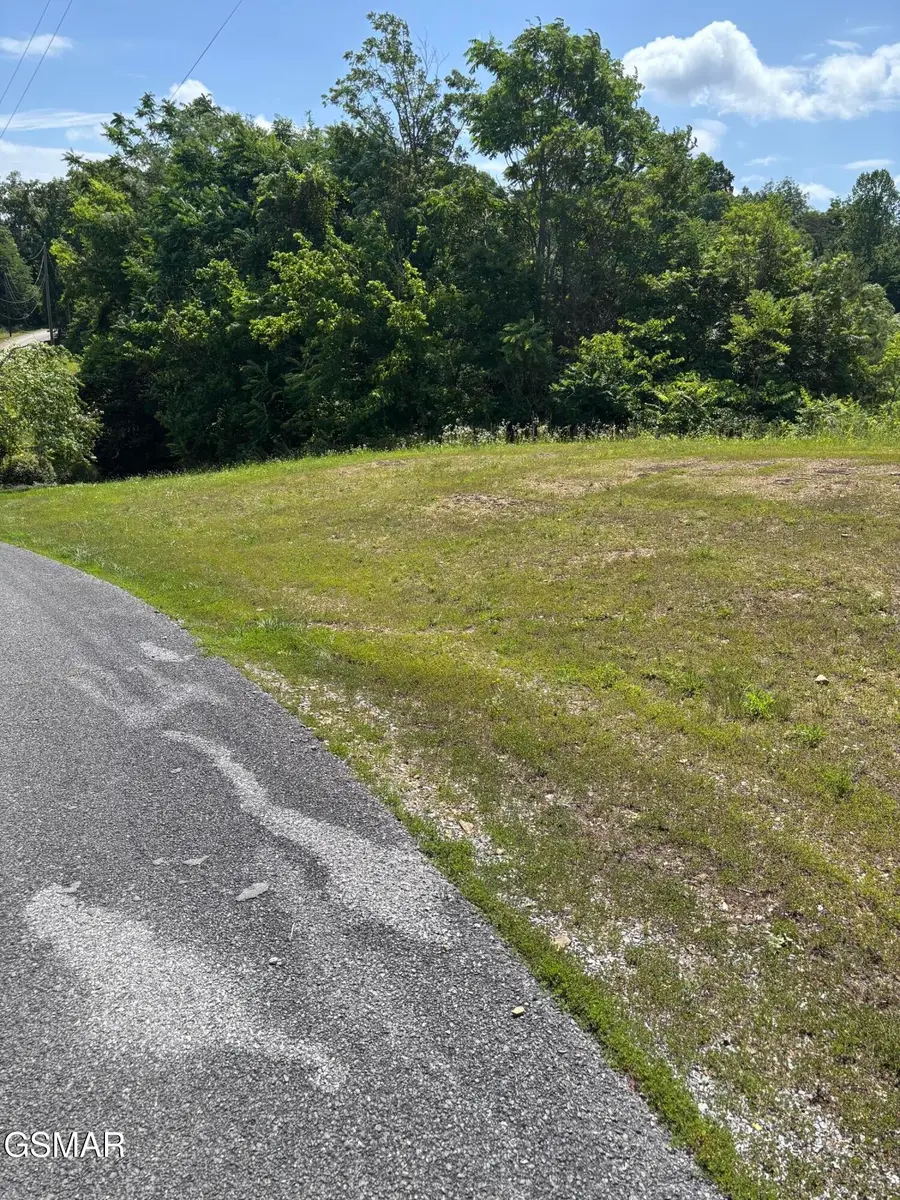 57 Mary Alice Way, Sevierville, TN 37876 - #2
