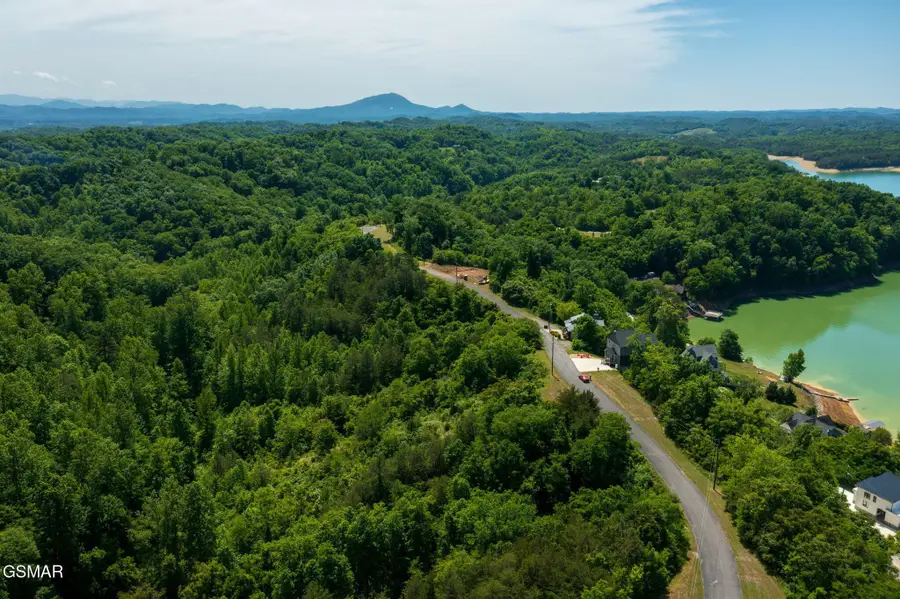 55 Mary Alice Way, Sevierville, TN 37876 - #3