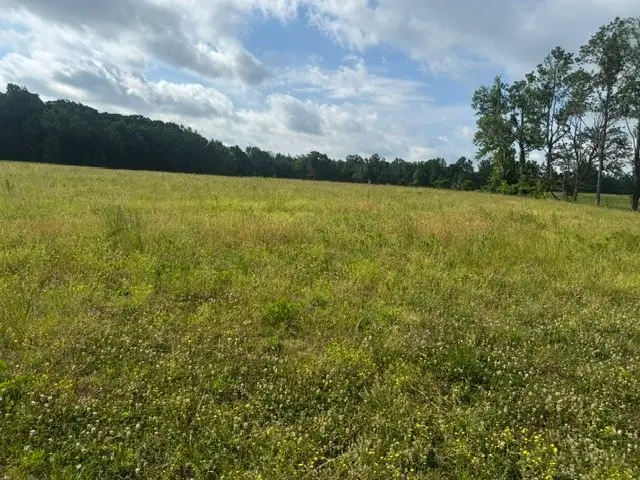 0 Cal Durham Road, Bethpage, TN 37022 - #3