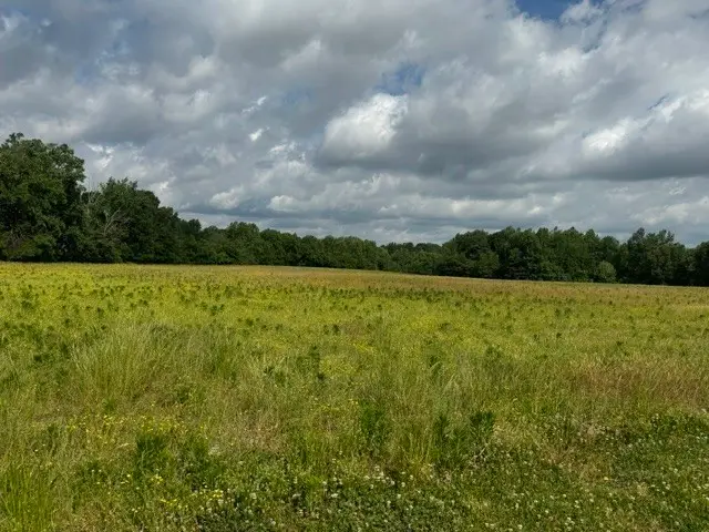 0 Cal Durham Road, Bethpage, TN 37022 - #1