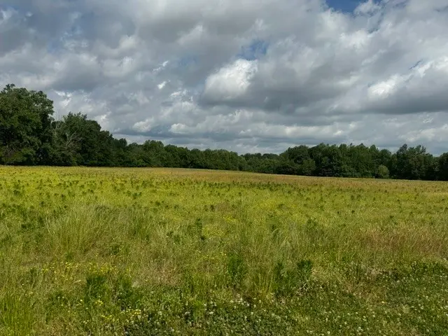 0 Cal Durham Road, Bethpage, TN 37022 - #3