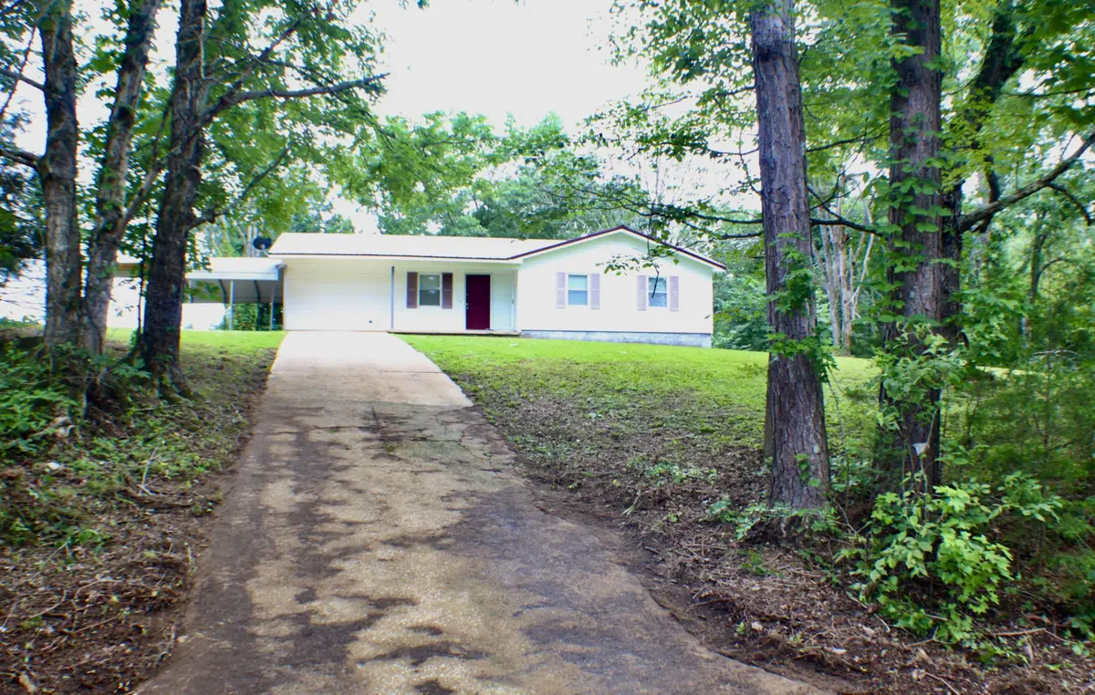 338 Standfill Ln, Olivehill, TN 38475 - #1