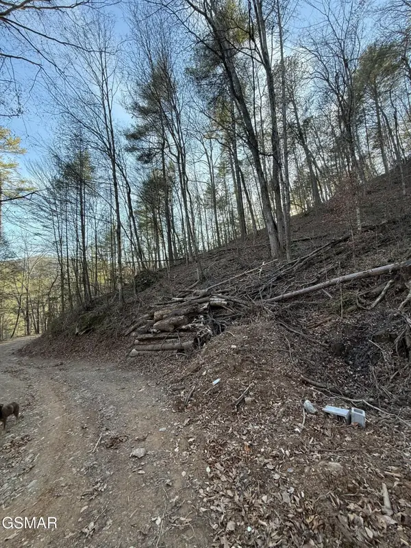 20 Meadow View Road, Sevierville, TN 37862