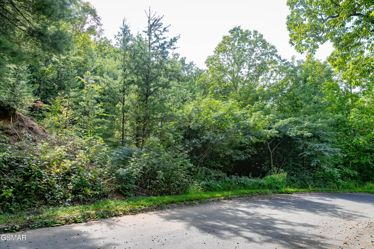 13 Lexy Lane, Sevierville, TN 37862 - #1