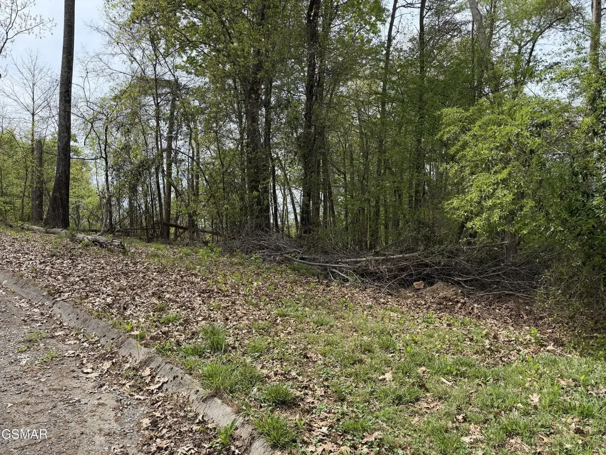 6 John Spears Way, Sevierville, TN 37876 - #1