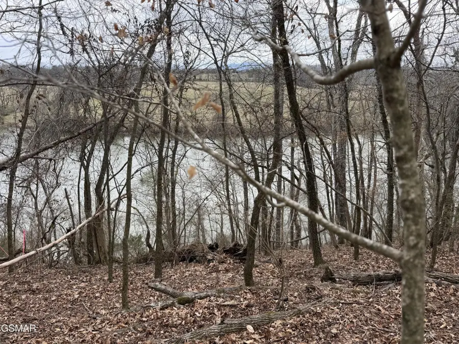 6 John Spears Way, Sevierville, TN 37876 - #2