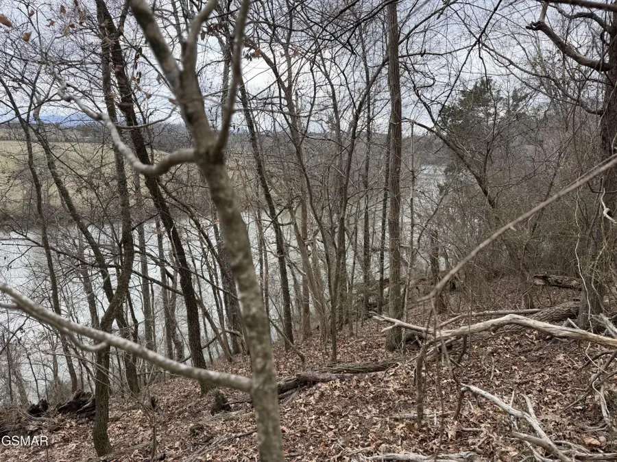 6 John Spears Way, Sevierville, TN 37876 - #3