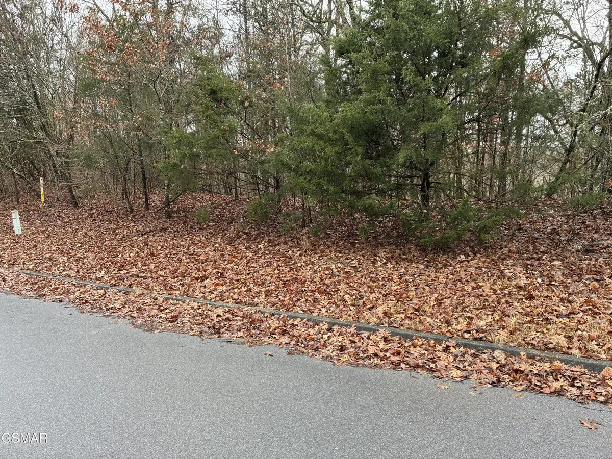 0 Longspur Trl Trail, Sevierville, TN 37876 - #1