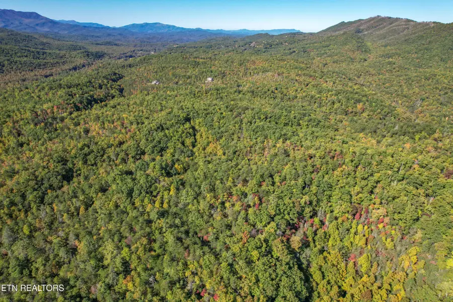 0 0 Branam Hollow Road Off, Gatlinburg, TN 37738 - #2