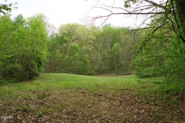 250 Mountain Side Lane, Rocky Top, TN 37769