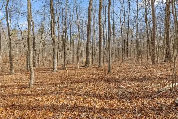 8307 Bear Paw Trail, Signal Mountain, TN 37377