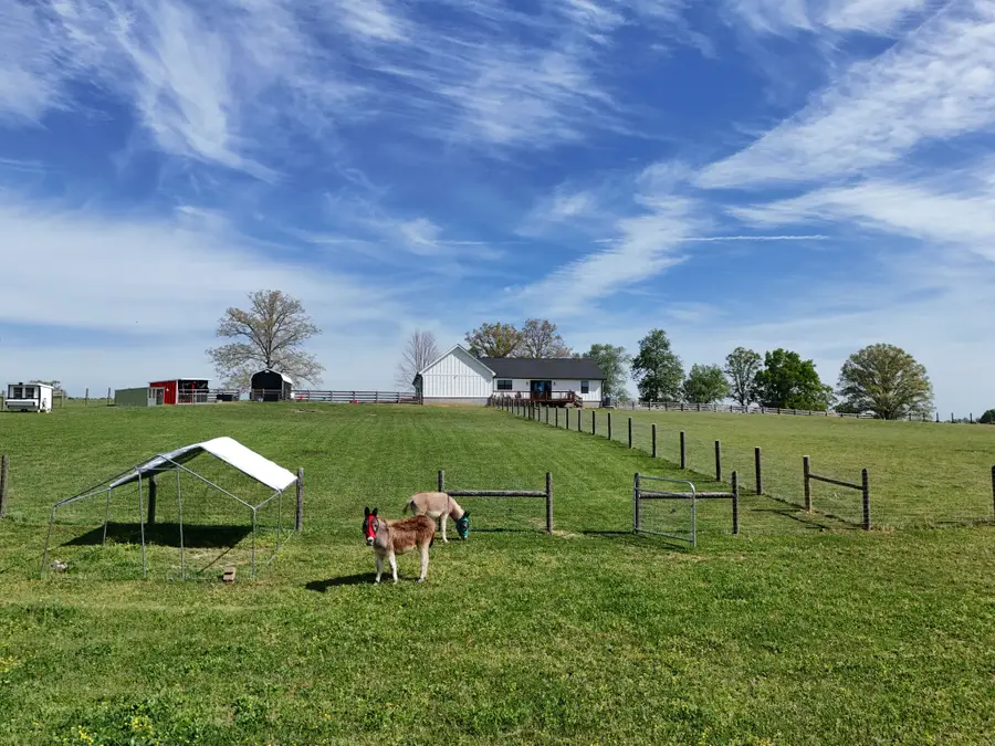 625 Robert Smith Rd, McMinnville, TN 37110 - #3