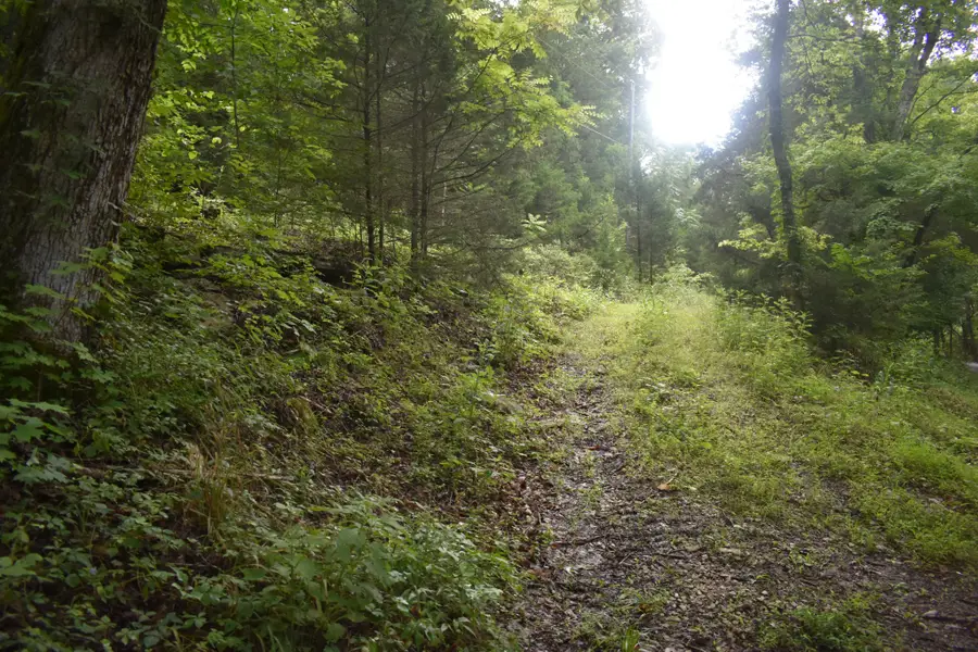 0 Ben Gentry Ln, Elmwood, TN 38560 - #2