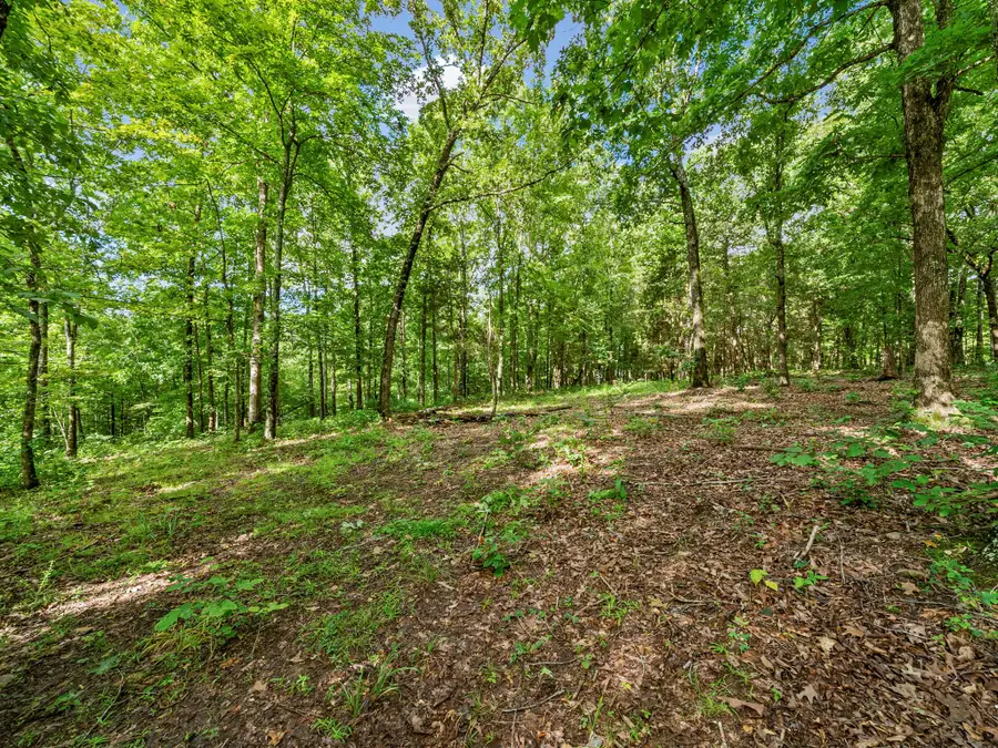 5021 Old Highway 13, Cumberland City, TN 37050 - #3