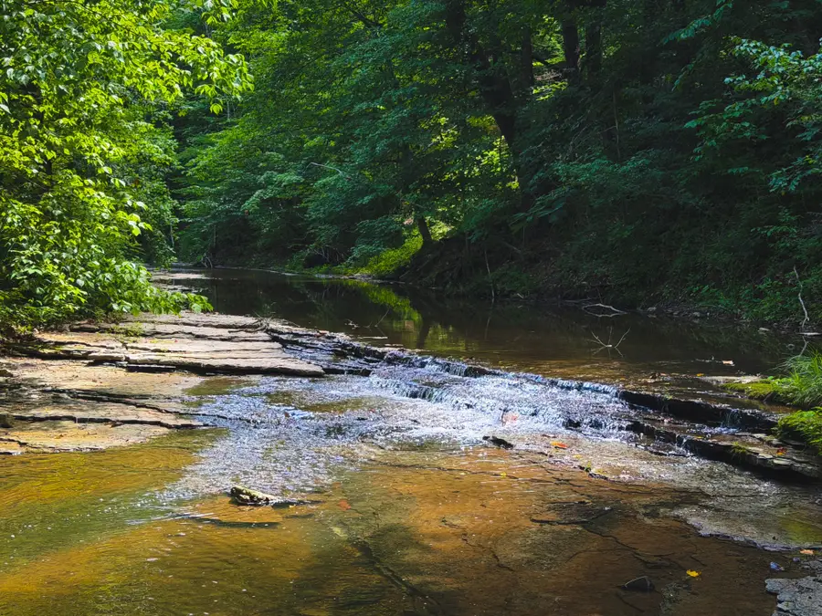 5 N Lick Creek Rd, Franklin, TN 37064 - #3