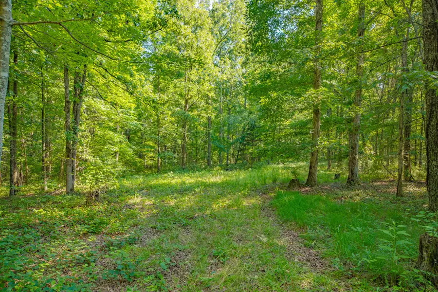 0 Pinewood Road, Nunnelly, TN 37137 - #2