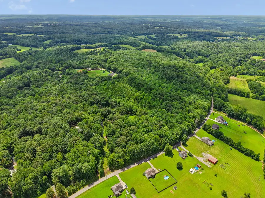 4876 Louise Creek Rd, Cunningham, TN 37052 - #2