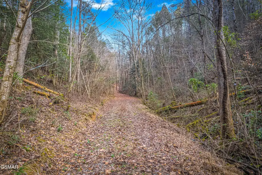 0 Boogertown Road, Sevierville, TN 37876 - #3