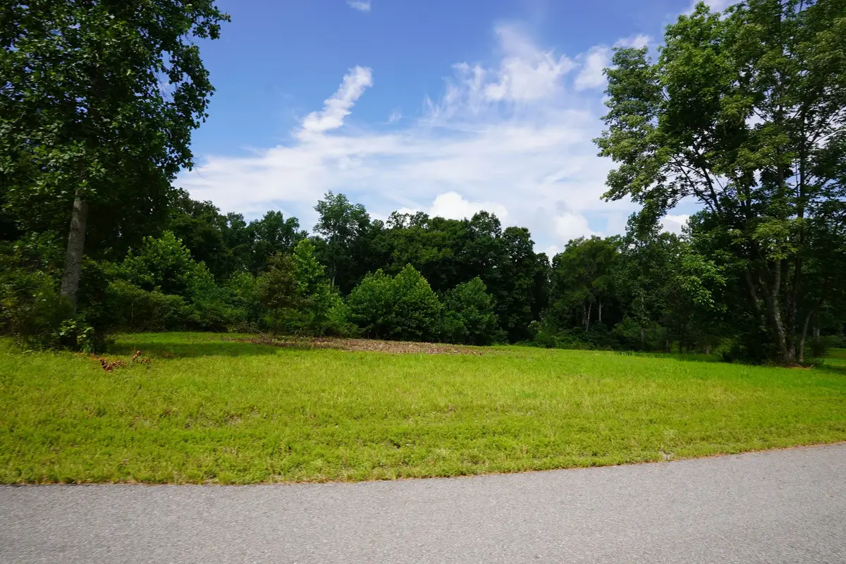 1 Peachers Lane, Indian Mound, TN 37079 - #1