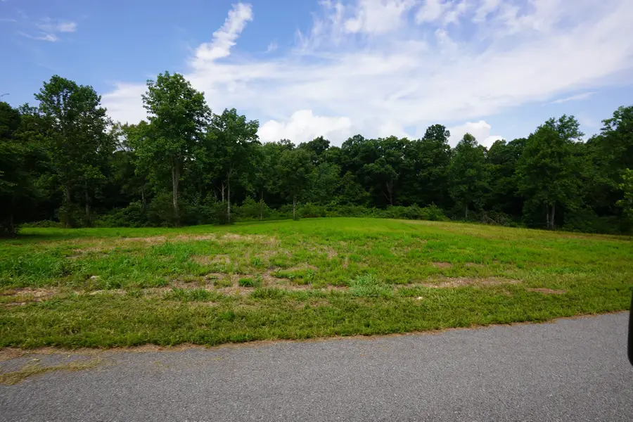 1 Peachers Lane, Indian Mound, TN 37079 - #3