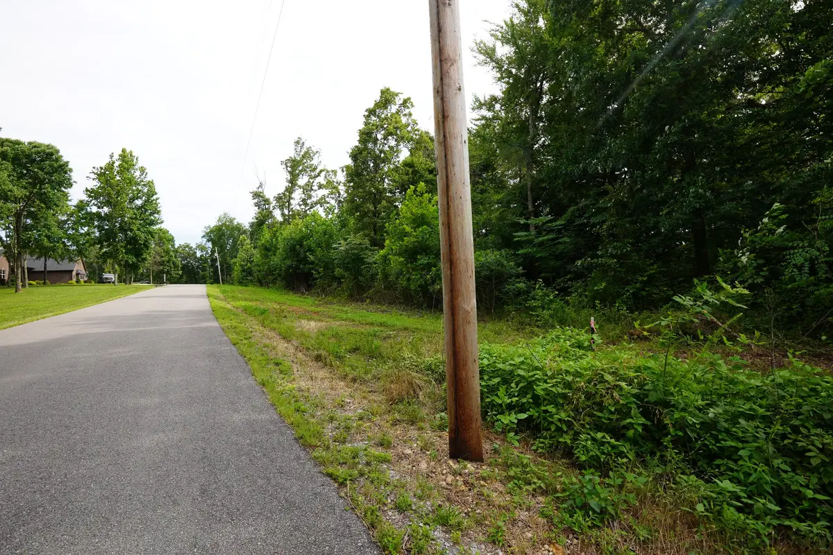 3 Peachers Lane, Indian Mound, TN 37079 - #1