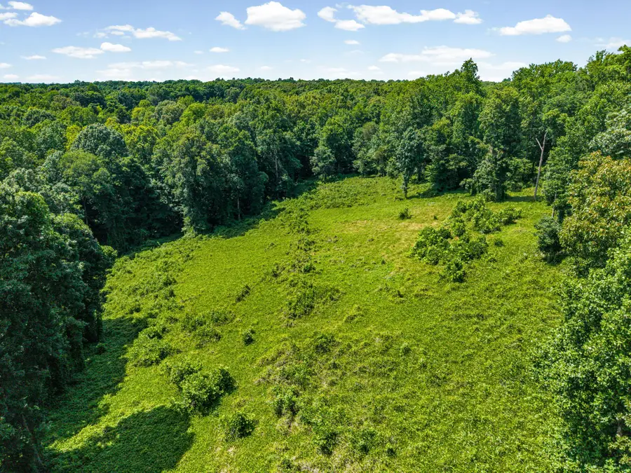 3 Peachers Lane, Indian Mound, TN 37079 - #3
