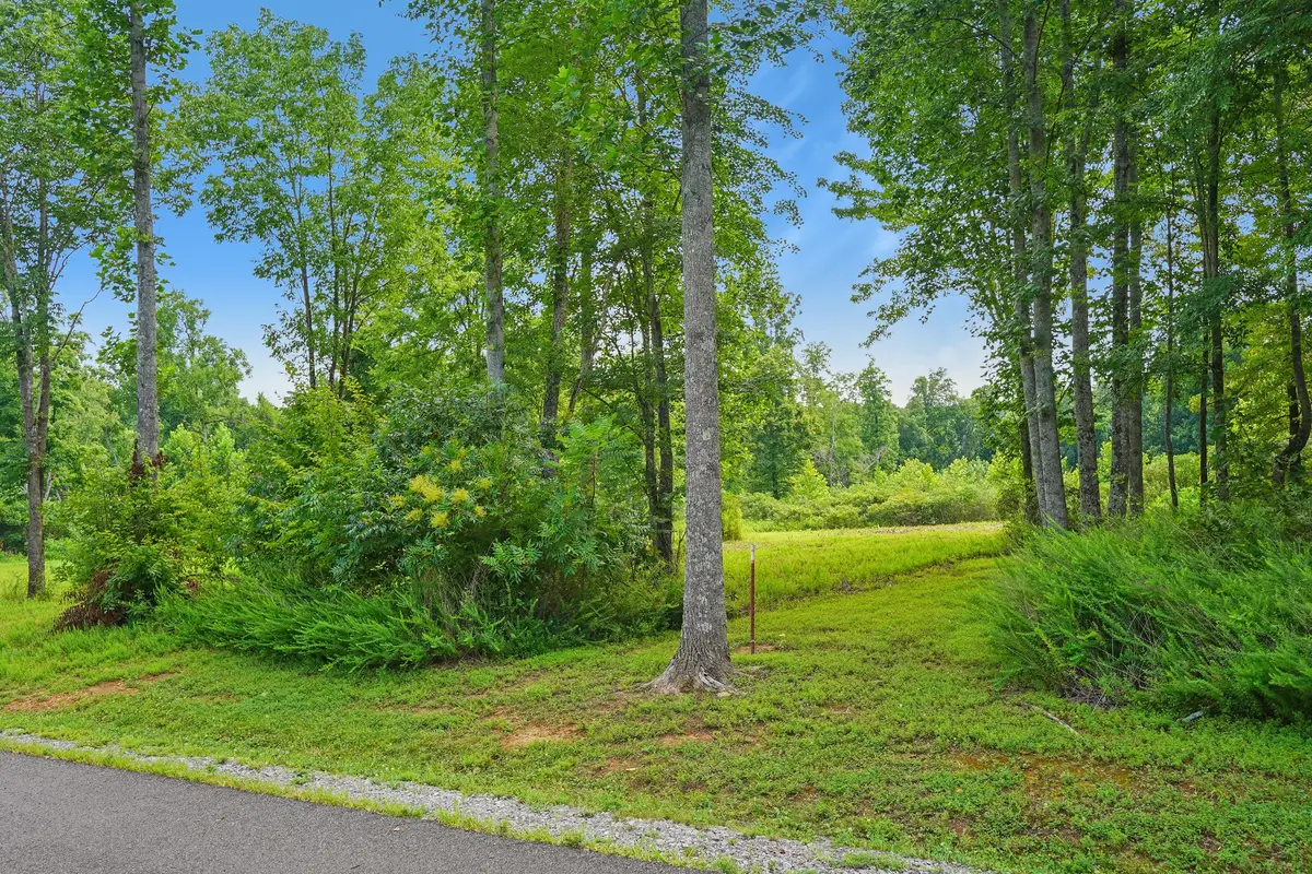 6 Peachers Lane, Indian Mound, TN 37079 - #1