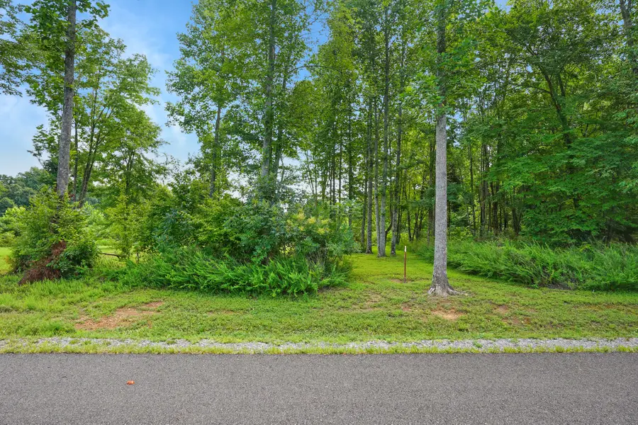6 Peachers Lane, Indian Mound, TN 37079 - #2