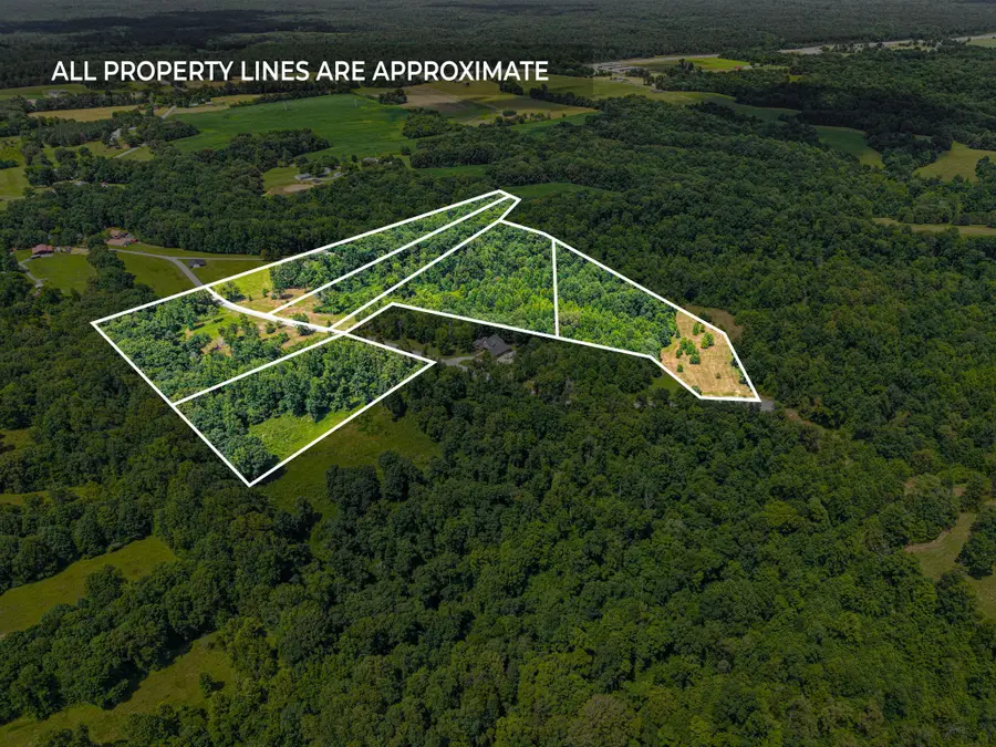 6 Peachers Lane, Indian Mound, TN 37079 - #3