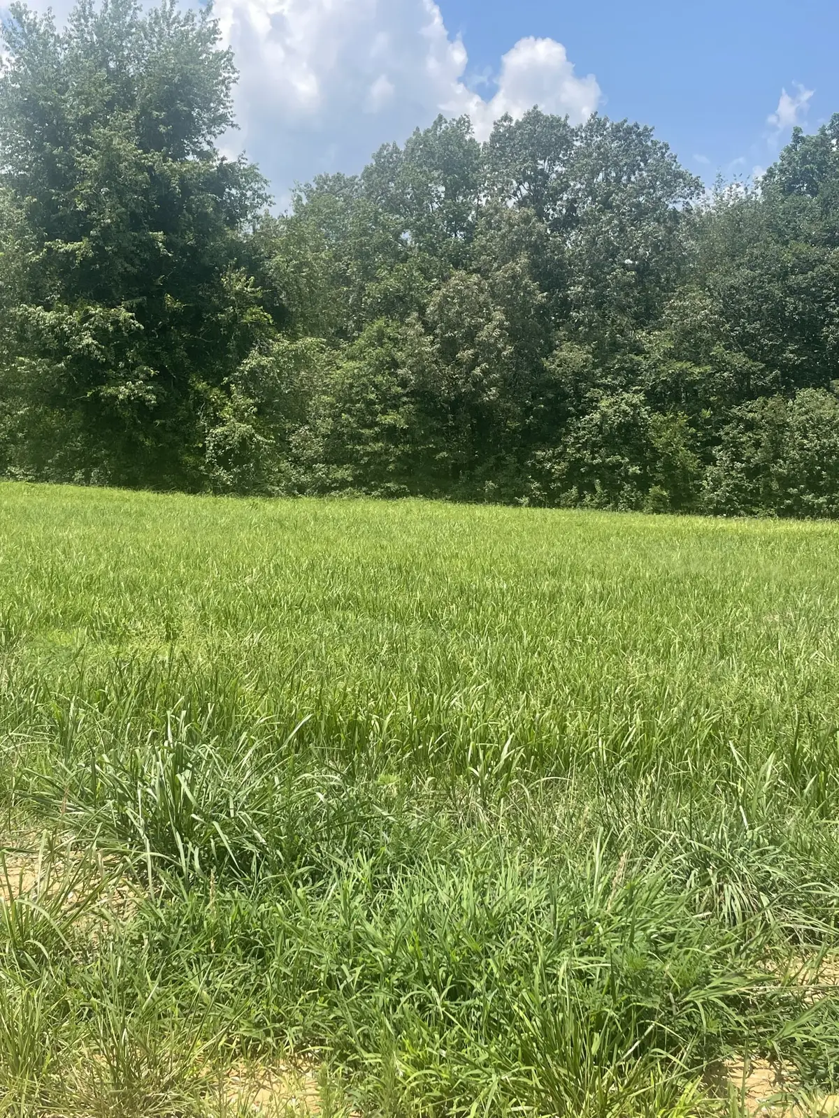 0 Summer Lake, Winchester, TN 37398 - #1