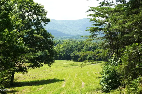 0 Rhyne Camp Road, Newport, TN 37821
