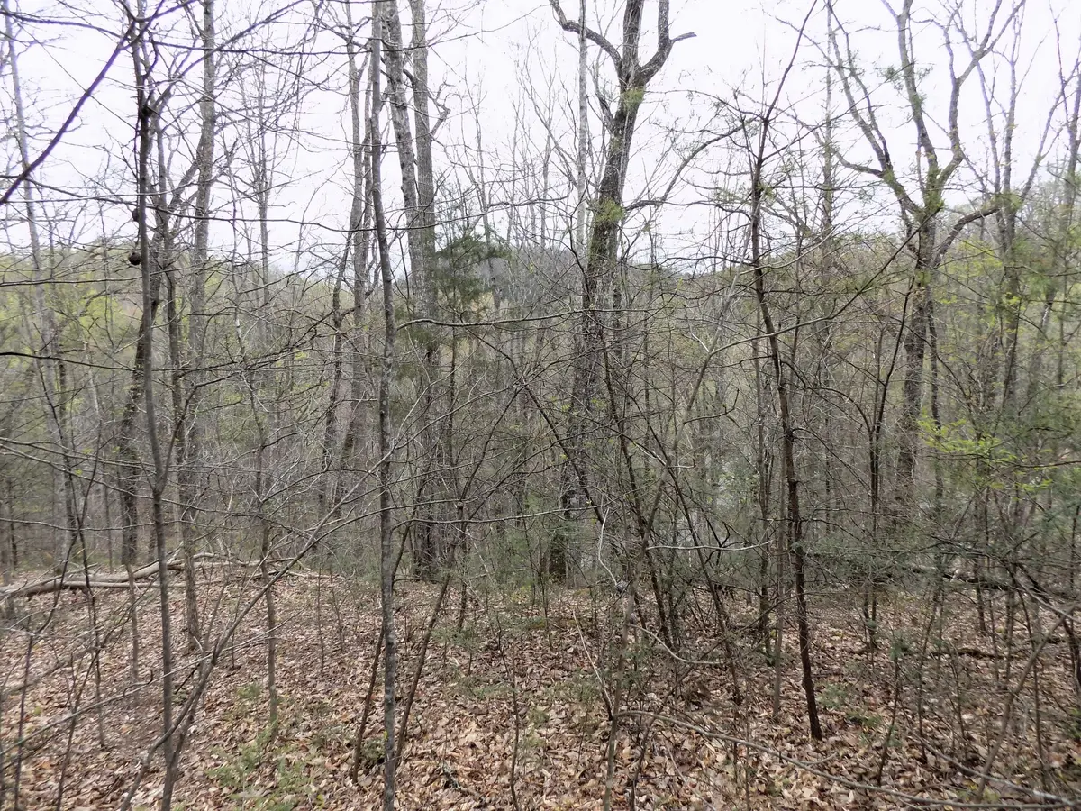 1 Mountain Shadow Way, Cosby, TN 37722 - #1