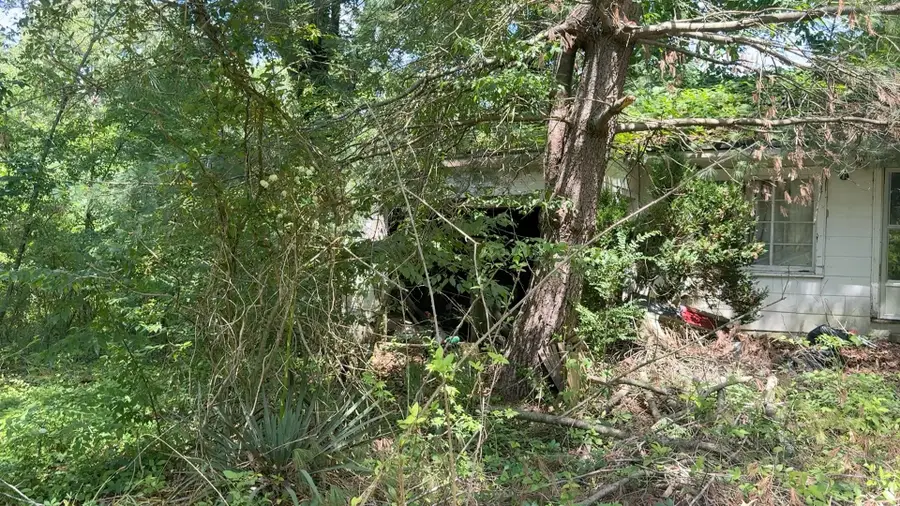 9108 Hwy 20, Summertown, TN 38483 - #2
