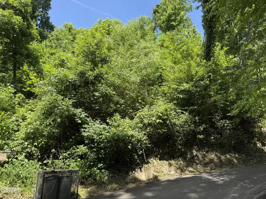 506 Crooked Ridge Road, Gatlinburg, TN 37738 - #3