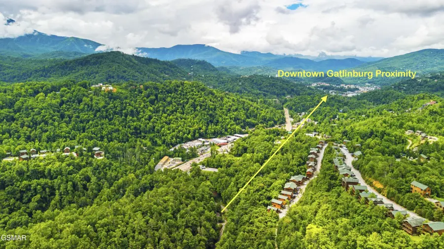 250 Cartertown Road, Gatlinburg, TN 37738 - #3