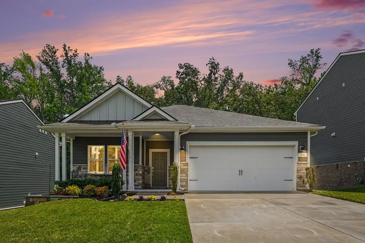 241 Brook Ave, White House, TN 37188 - #1