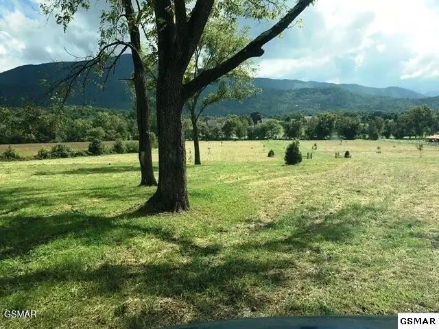 3557 Wears Valley Road, Sevierville, TN 37862 - #1