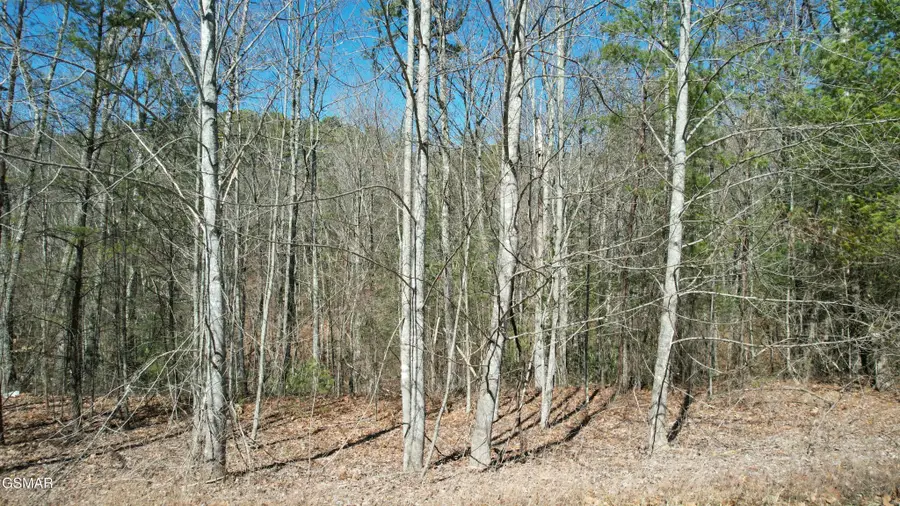 442 Hawken Drive, Walland, TN 37886 - #2