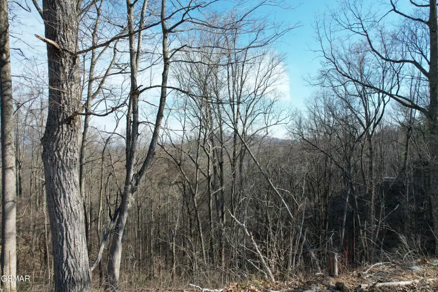 2 Spurling Way, Sevierville, TN 37862 - #2