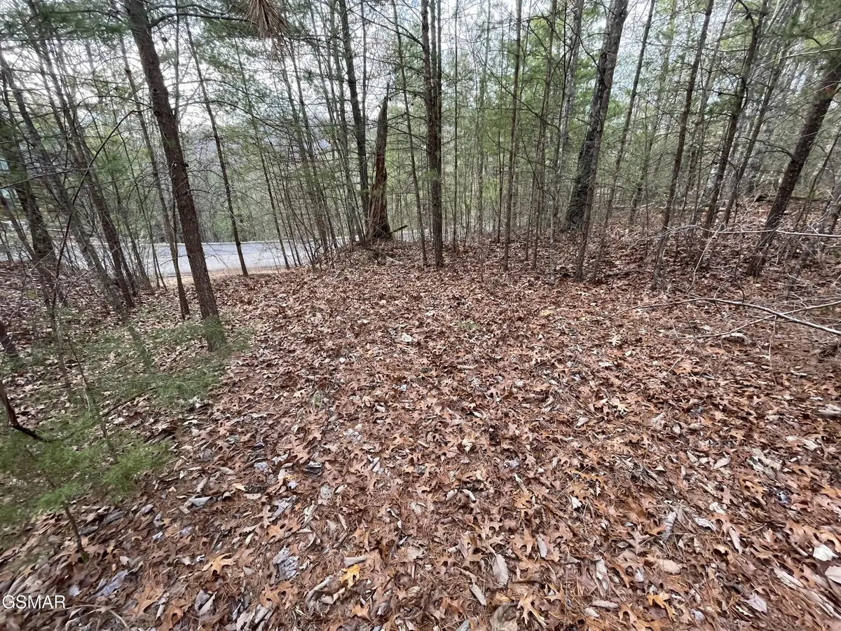 79 Whetstone Road, Sevierville, TN 37862 - #1