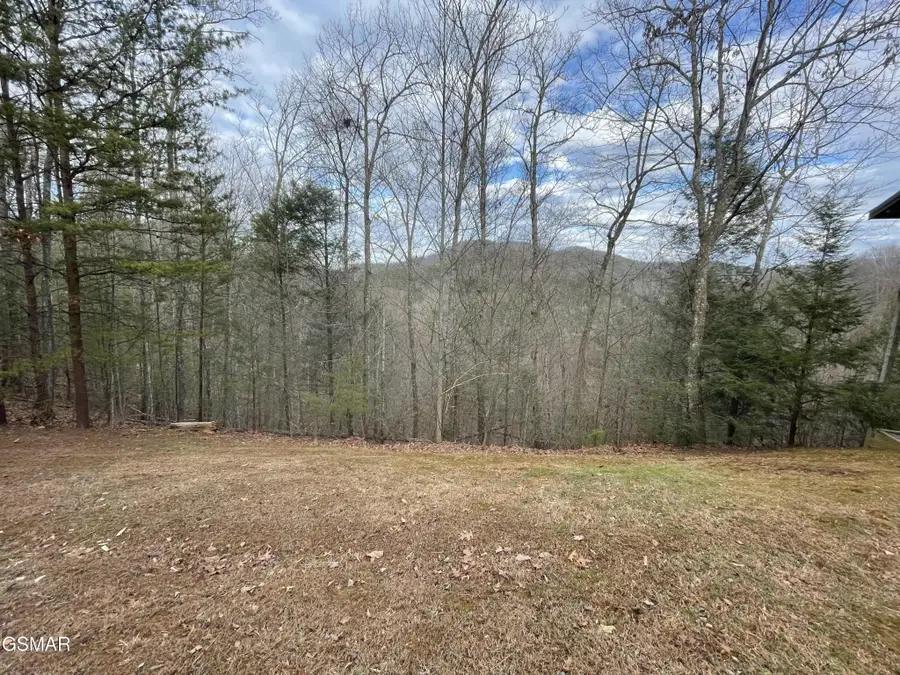 79 Whetstone Road, Sevierville, TN 37862 - #3