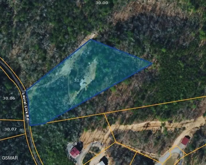 1210 Laurel Lick Road, Pigeon Forge, TN 37862 - #2