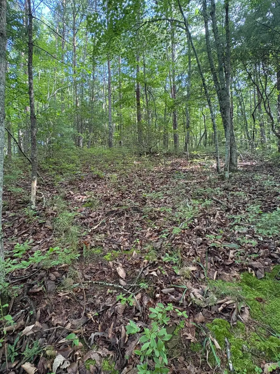 2 Old Furnace Road, Tellico Plains, TN 37385 - #2