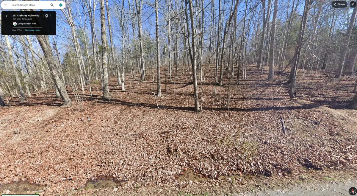 297 Crabtree Hollow Rd, Ten Mile, TN 37880 - #1