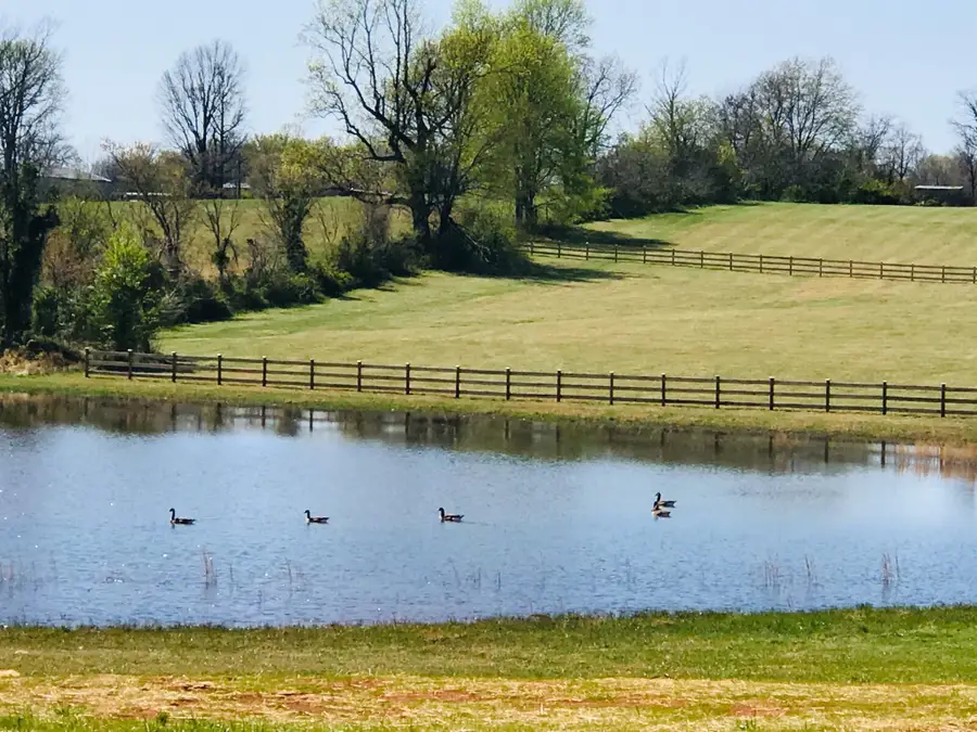 576 Womack Rd, Bethpage, TN 37022 - #3
