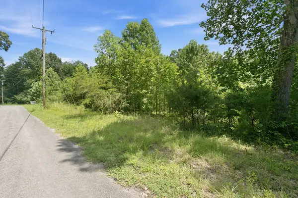 0 Trailwood Court, Joelton, TN 37080