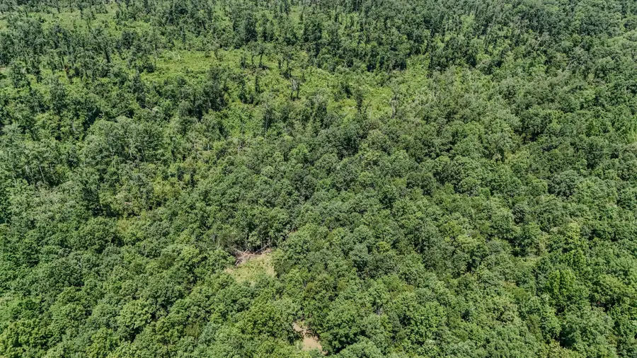 0 Keazy Hollow Rd, Waynesboro, TN 38485 - #2