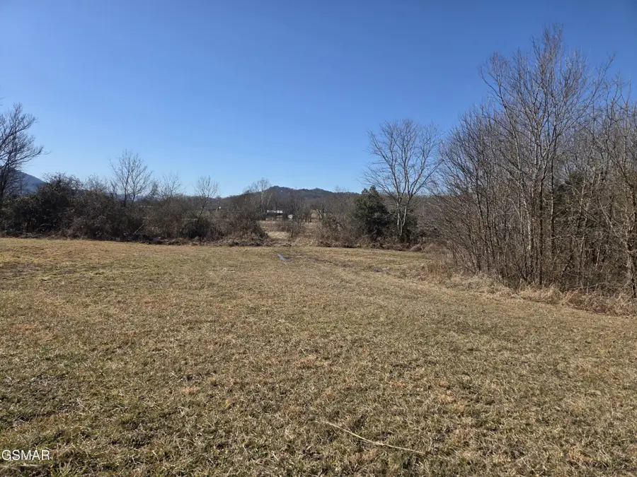 0 Wears Valley Rd Off, Sevierville, TN 37862 - #3