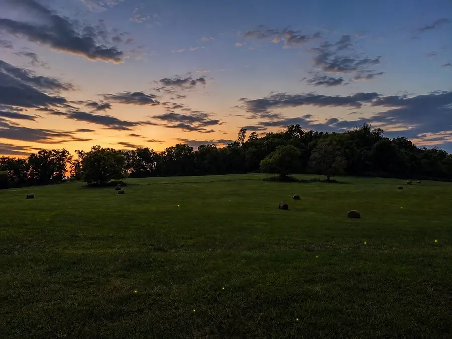 1914 Thompson Station Rd W, Thompsons Station, TN 37179 - #3